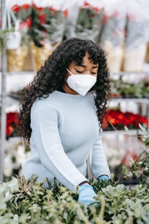 Un magasin de jardinerie autour de moi : comment le trouver ?