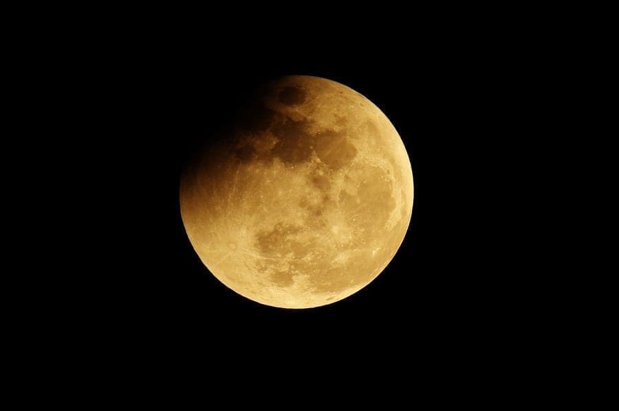 La Fleur de Lune : Découverte et Signification Mystique d’un Symbole Enchanteur